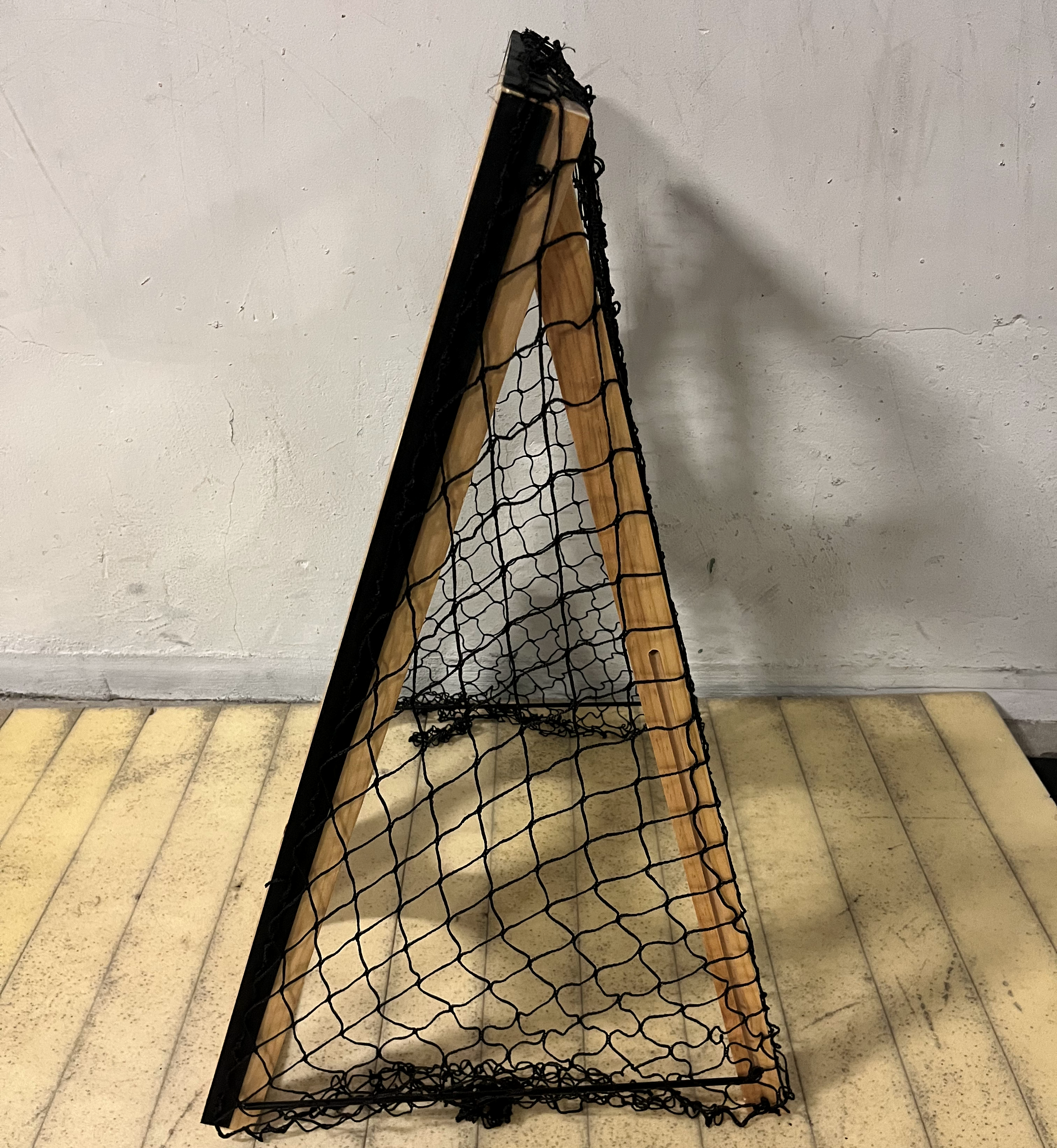 Lacrosse Toss Complete Game